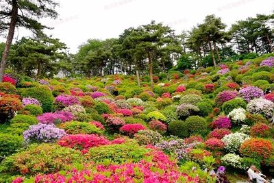 七月南川新景 蔬菜種植新去處，休閑農(nóng)業(yè)新體驗
